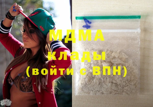 молекула духа Богданович