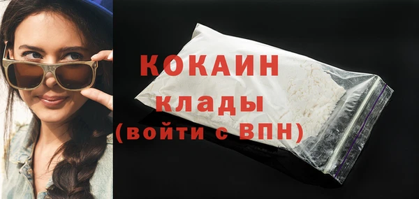 молекула духа Богданович