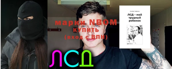 молекула духа Богданович