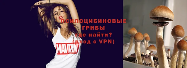 винт Богородицк