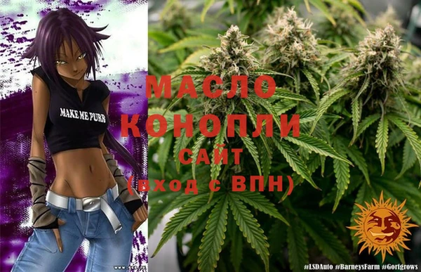 молекула духа Богданович