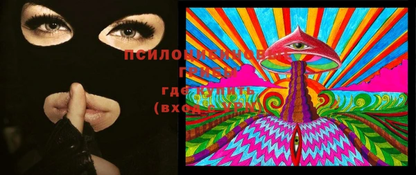 молекула духа Богданович