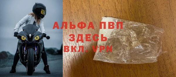 молекула духа Богданович