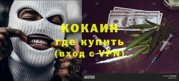 молекула духа Богданович