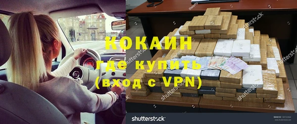 молекула духа Богданович