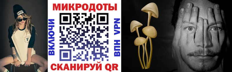 Псилоцибиновые грибы Psilocybe  Купить закладки  Сунжа 